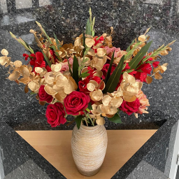 VitamineC asbl website